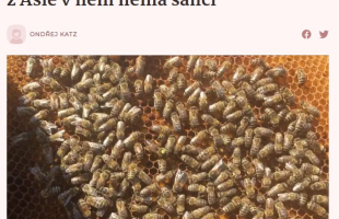 Czechs invented the "solar hive", the parasite from Asia has no chance in it