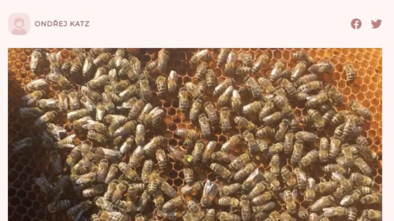 Czechs invented the "solar hive", the parasite from Asia has no chance in it